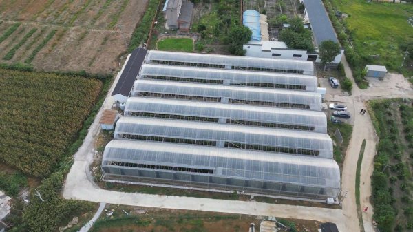 忠泰策略 无人值守 自助采摘 来枝江问安这个农场开启田园新体验