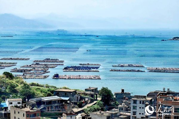 智慧财讯 行进中国丨这片“海上牧场” “鲍”发力十足