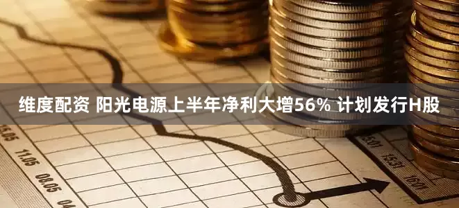 维度配资 阳光电源上半年净利大增56% 计划发行H股