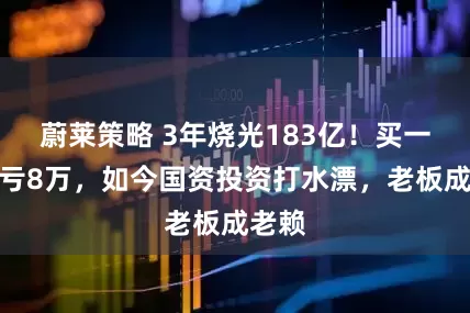 蔚莱策略 3年烧光183亿！买一辆车亏8万，如今国资投资打水漂，老板成老赖